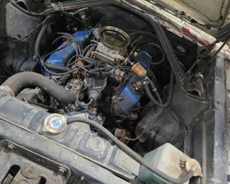 289 V8 Engine, turns over but does not start