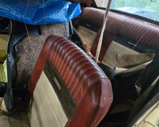 Pony Interior