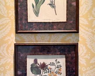 Framed Botanicals