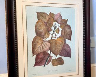 Botanical Print