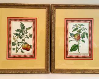 Botanical Prints