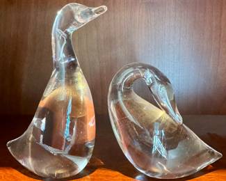 Steuben Ducks