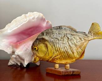 Piranha Taxidermy & Shell 