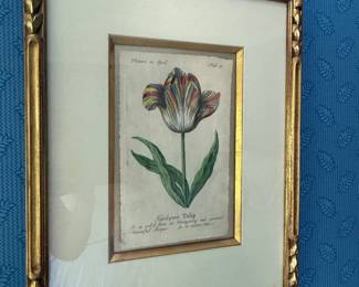 detail