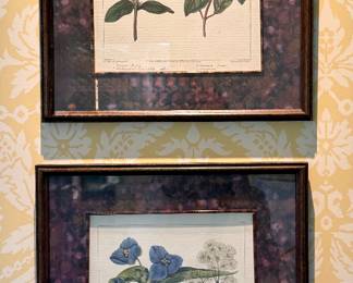 Framed Botanicals