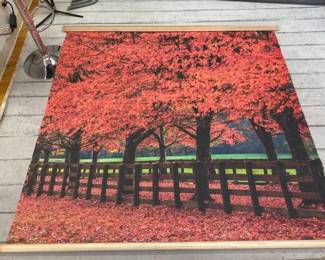 VBB183 Red Maple 68" x 72" Studio Photography Backdrop