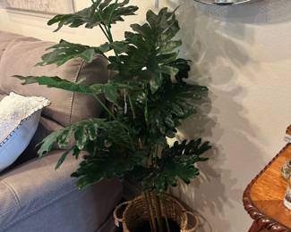 faux plant