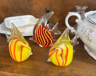glass fish