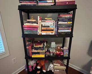 Books & shelf 