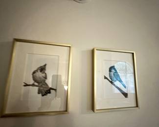 Framed matted bird art