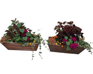 Pair 28" Molded Planter Boxes with Plants Flowers