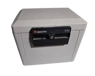 Sentry 1170 Fire Safe