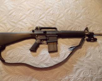ArmaLite 308 Rifle