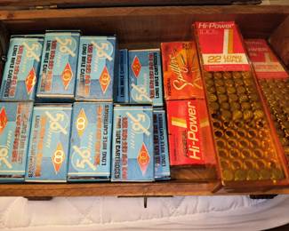 22 ammo 