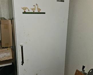 Upright Deep Freezer