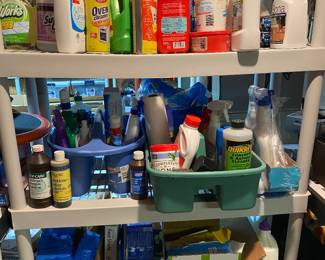 If you aren't beating inflation by getting household cleaners from estate sales you are really missing out and doing your family a disservice.