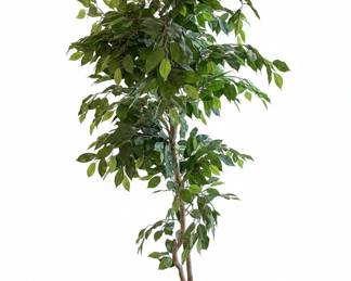 Artificial Ficus Silk Tree