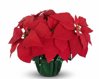 Artificial Potted Poinsettia Plant