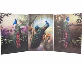 Set of Three Peacock Canvas Wall Art Prints