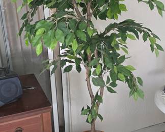 6-Foot Artificial Ficus Tree in Wicker Basket