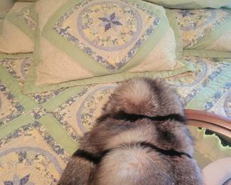 Queen size pillow top, comes with bedding .