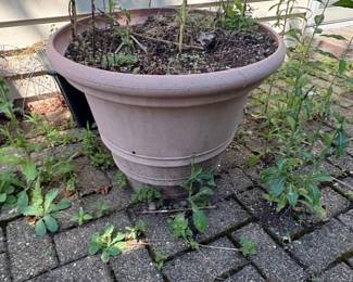 Bloem Ariana SelfWatering Planter