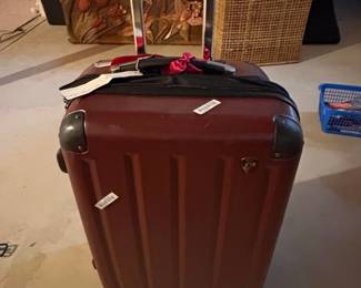 DUKAP Intely Hardside Spinner Luggage