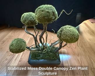 Stabilized Moss Double Canopy Zen Plant Sculpture