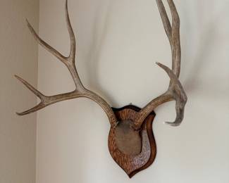 Antlers