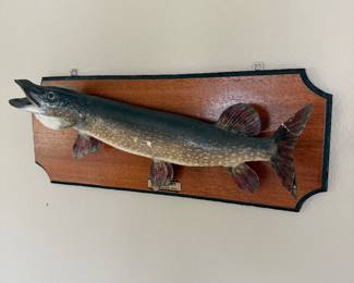 Fish