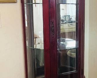 Lighted curio