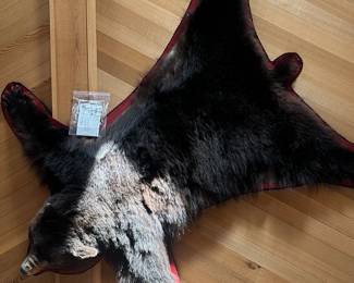 Taxidermy bear rug