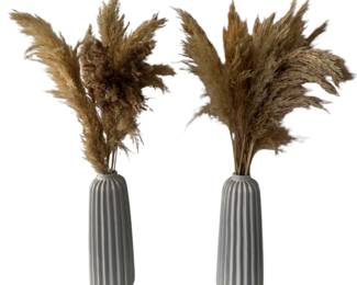 Pair of Ceramic Vases with Dried Pampas Grass