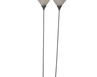 2 Floor Lamps