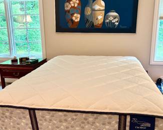 2 QUEEN SIZE BEDS INCLUDING THIS SERTA RIVERBED COLLECTION CUT RIVER