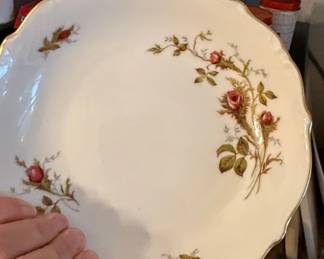 W. Eschenbach Bavaria Germany Briar Rose Fine China Plates