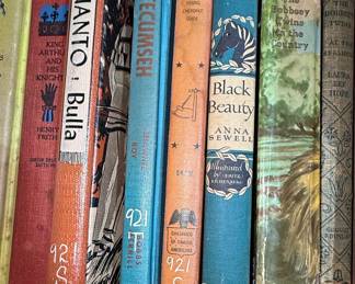 Vintage Children's Book Collection - Series Focus