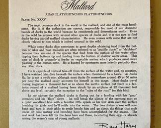 Ray Harm Mallard Lithograph