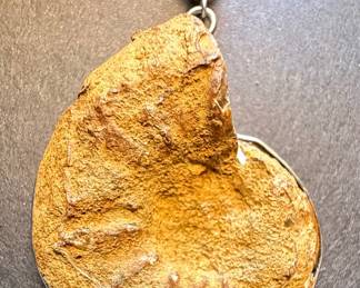 Ammonite Fossil Pendant Necklace