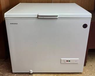Amana 9 Cu. Ft. Convertible Chest FreezerRefrigerator  Ready  Portable