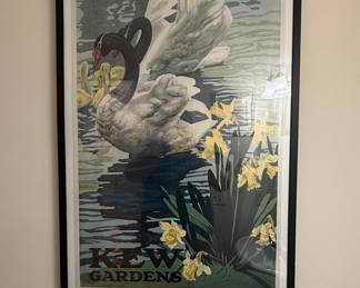 Kew Gardens Black Swans Lithograph Poster by Chasley & Pickerspill Ltd