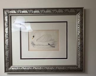 Mute Swan Lithograph