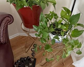 Pothos Plant in Red Ceramic Pot with Gold Metal Plant Stand and Abstract Metal Sculpture
