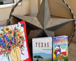 Decorative Reversible Outdoor Pillow, Metal Texas Star  Texas Books