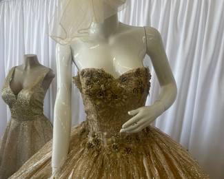 Manniquin and XV Dresses