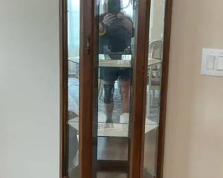 Wood Lighted Corner Curio Cabinet
