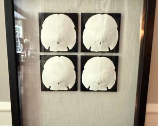 Set of Sand Dollars Shadow Box Wall Art