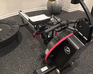 Life Fitness Row GX Trainer