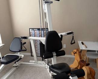 Parabody Home Gym System
