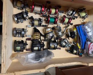Assorted Fishing Reels including Daiwa TEAM DAIWA and Abu Garcia Ambassadeur C